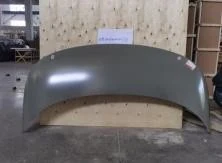 BYD Dolphin Hood