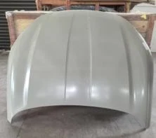 BYD Qin Hood