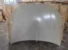 BYD Qin Hood