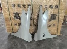 BYD Qin Front Fender LH