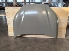 BYD Seal 06 Hood