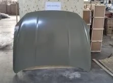 BYD Song Hood