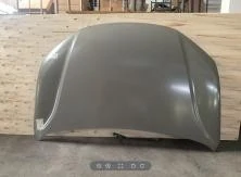 BYD Song Hood