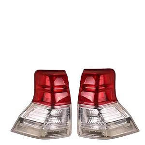 Rear tail light 2010